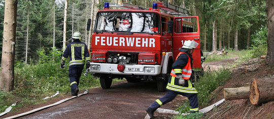 Bild: Brandbekämpfung und Menschenrettung geübt: Waldbrandübung im Löschbezirk Eppelborn
