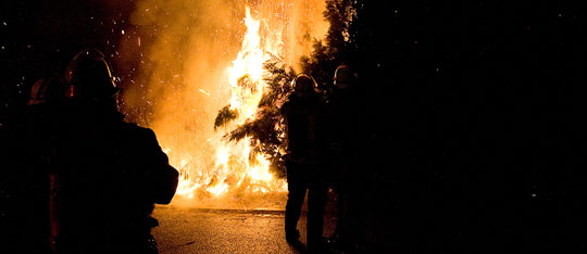 Bild: Meterhohe Hecke brannte in der Silvesternacht
