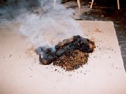 Bild: Brand durch ein mikrowellenerhitztes Körnerkissen (Foto: IFS, Kiel)