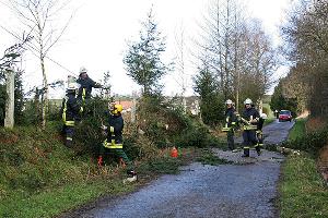 Bild: Auch in Dirmingen st&amp;uuml;rzte ein Baum auf die Stra&amp;szlig;e und versperrte die Zufahrt zum Finkenwalder Hof