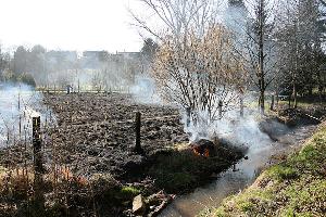 Bild: Auf einer Fl&amp;auml;che von rund 1200 Quadratmetern war das trockene Gras verbrannt