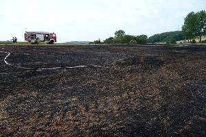 Bild: Das Feuer fand auf dem abgeernteten Feld reichlich Nahrung