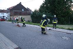 Bild: Mit Bindemitteln wurde die Straße gereinigt