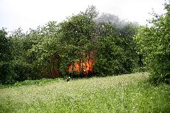 Bild: Ein in einem Waldstück gelegenes Gartenhaus brannte nach einem Blitzschlag in voller Ausdehnung