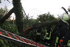 Bild: Ein Baum drohte nach starken Sturmböen auf ein Wohnhaus in Eppelborn zu stürzen