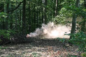 Bild: Mit dichtem Rauch aus Rauchpatronen wurde ein Waldbrand dargestellt