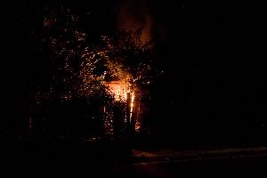 Bild: Eine Hecke brannte in der Nacht in der Hahnenstra&amp;szlig;e in Eppelborn
