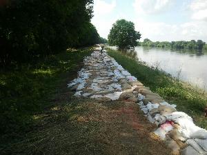 Bild: Hochwassersituation in Magdeburg