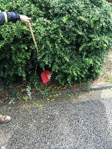 Bild: Problematisch: Der zugewachsene Hydrant musste erst gesucht werden