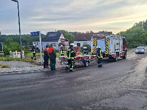 Bild: Umgestürzte Bäume auf der Bahnstrecke zwischen Bubach-Calmesweiler und Eppelborn
