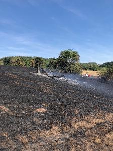 Bild: Großer Flächenbrand bei Lautenbach