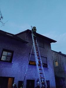 Bild: Katze auf Dach in der Illtalstraße