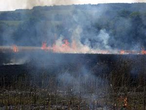 Bild: Großbrand im Ortsteil Habach