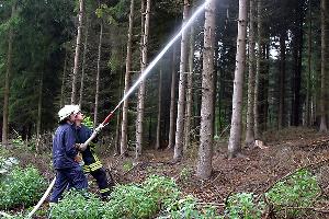 Bild: Waldbrandbek&amp;auml;mpfung im Bereich der Forstarbeitsschule