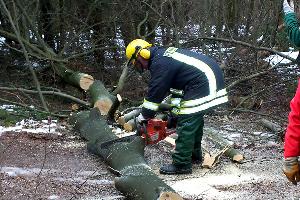 Bild: Freimachen eines Weges von Windbruchlasten