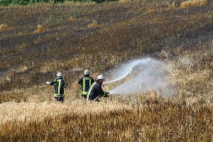 Bild: Mit mehreren Rohren bek&amp;auml;mpften die Feuerwehrleute aus Aschbach, Thalexweiler und Bubach-Calmesweiler den Brand eines Feldes auf dem Henselberg