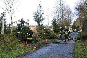 Bild: Auch in Dirmingen stürzte ein Baum auf die Straße und versperrte die Zufahrt zum Finkenwalder Hof