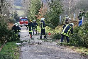 Bild: Auch eine überirdisch verlaufende Telefonleitung wurde durch den Baum beschädigt. Die Feuerwehr aus Dirmingen zerlegte den Baum und räumte die Straße wieder frei.