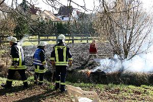 Bild: Fl&amp;auml;chenbrand in der Wiesbacher Haupstra&amp;szlig;e