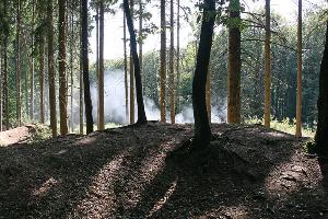 Bild: Mitte im Wald, in der N&amp;auml;he des Sportplatzes war ein Schwelbrand ausgebrochen