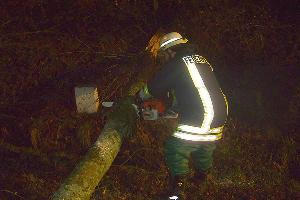 Bild: Mit der Kettensäge wurde der Baum zerteilt und die Straße wieder befahrbar gemacht