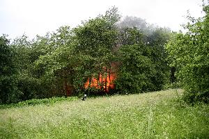 Bild: Ein in einem Waldst&amp;uuml;ck gelegenes Gartenhaus brannte nach einem Blitzschlag in voller Ausdehnung