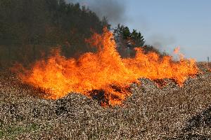 Bild: Einen Brand im Bereich der Kompostieranlage auf dem Wackenberg mussten die Feuerwehren aus der Gemeinde Eppelborn an der Jahreshauptübung bekämpfen