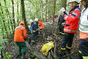 Bild: Medizinische Versorgung des Waldarbeiters durch Rettungssanit&amp;auml;ter der Feuerwehr