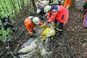 Bild: Rettung des eingeklemmten Waldarbeiters