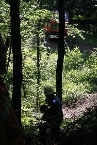 Bild: Aufbau einer Schr&amp;auml;gseilbahn zur Rettung des eingeklemmten Waldarbeiters