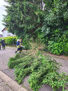 Bild: Ein Baum drohte in der Ringstraße auf die Fahrbahn zu stürzen