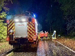 Bild: Umgestürzte Bäume auf der L301