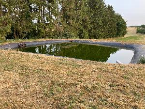 Bild: Reh aus Löschwasserteich gerettet