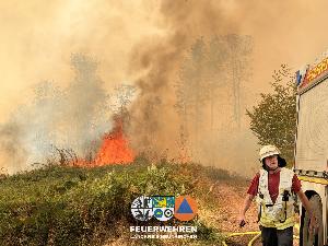 Bild: Waldbrand im Hosterwald: 78 Stunden gemeinsam gegen die Flammen
