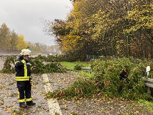 Bild: