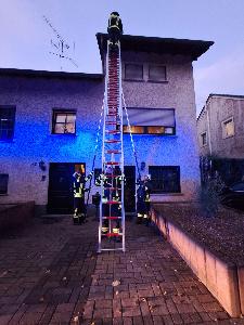 Bild: Katze auf Dach in der Illtalstraße