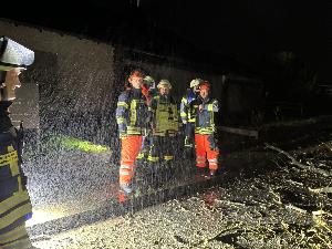 Bild: Umgestürzter Baum in der Kossmannstraße