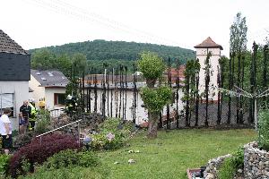 Bild: Die Hecke brannte auf ganzer Länge nieder