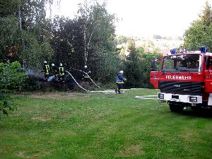 Bild: Das Feuer griff bereits auf umstehende Bäume über