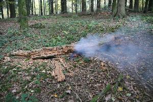 Bild: Spaziergänger waren auf den Rauch aufmerksam geworden und alarmierten die Feuerwehr