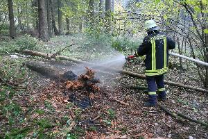 Bild: Die Feuerwehr konnte den Brand löschen, bevor er sich weiter ausbreiten konnte