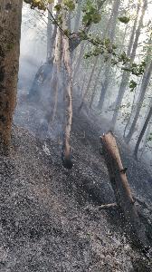 Bild: Gro&amp;szlig;er Vegetationsbrand auf einer Bergehalde bei Wiebelskirchen