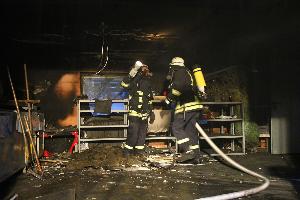 Bild: Kontrolle der Deckenverkleidung