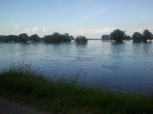 Bild: Hochwassersituation in Magdeburg