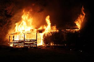 Bild: Beim Eintreffen der Feuerwehr stand die Hütte in Vollbrand