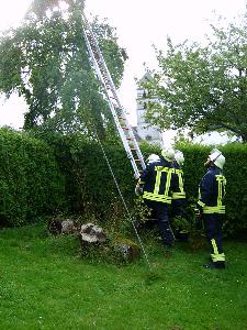 Bild: Über eine Steckleiter wurde der Ast aus dem Baum gelöst