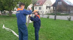 Bild: Dorfrally im Rahmen des Jubiläums der Feuerwehr Bliesmengen - Bolchen