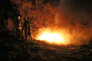 Bild: Das Feuer wurde kontrolliert abbrennen gelassen und Reste mit Kübelspritzen abgelöscht