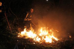 Bild: Das Feuer wurde kontrolliert abbrennen gelassen und Reste mit Kübelspritzen abgelöscht