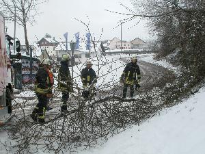 Bild: Der umgestürzte Baum wurde mit der Kettensäge zerkleinert